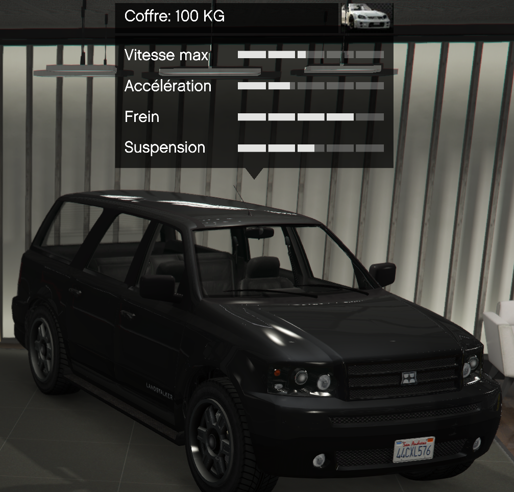 Photo de Landstalker