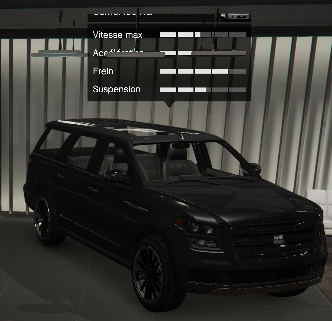 Photo de Landstalker XL